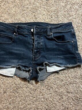 Nasty Pig Denim Shorts